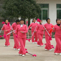 花棍舞圖1