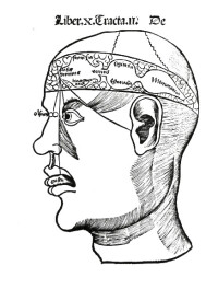 《德波蒂尼斯》，格里戈里斯（Gregor Reisch）（1504）瑪格麗塔哲學。中世紀的科學假設大腦的心室是我們常識的位置，我們的感覺系統的形式在這裡混合。