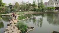 河西中央公園