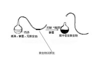 鵝頸燒瓶實驗