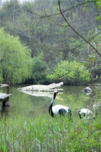 天目湖山水園