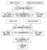 中國人體器官捐獻管理中心