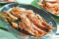 甌江鳳尾魚