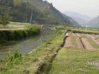 梁村[麗水市蓮都區老竹鎮梁村]