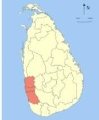 西部省 (斯里蘭卡)