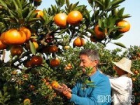 甘田村[雲南師宗縣龍慶鄉下轄村]