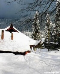 龍池冰雪節