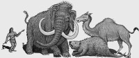 典型的幾種史前巨獸
