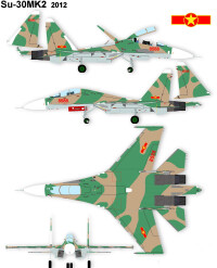 越南空軍蘇-30戰機