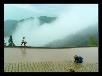 西坑村[浙江省麗水市松陽縣四都鄉下轄村]