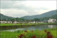 石龍頭村[山東省泰安市岱嶽區祝陽鎮下轄村]