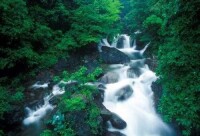 黃浦江源龍王山