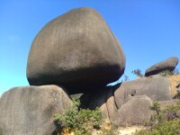 福建梅花山國家級自然保護區