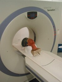 nefertitigoingthruCTScan