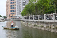 鳳林街道圖片