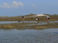 登沙河