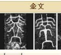 須[中國漢字]