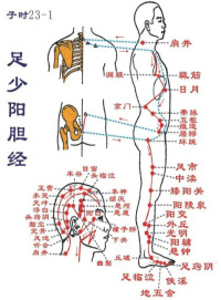 十二經絡