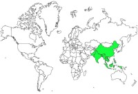 松雀鷹地理分佈