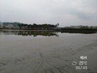 劍英公園71（一號湖進行升級改造）