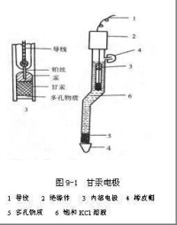 飽和甘汞電極