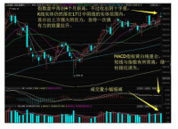 中陰線報收