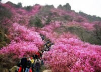 桃花源景區