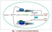 黃繼榮[中科院上海生命科學院研究員]