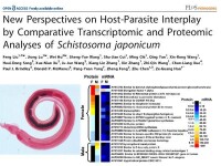 吸血蟲蛋白質組學研究