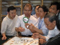 2010年：重慶三峽博物館鑒定甲骨文