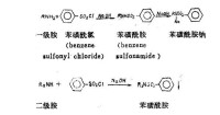 磺醯化作用