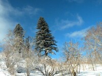 亞布力滑雪旅遊度假區風景圖片