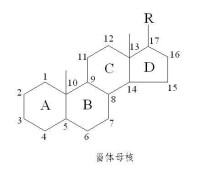 甾體藥物