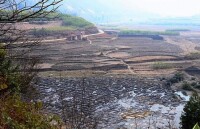 靈岐河上田東縣那拔鎮的棋盤灘