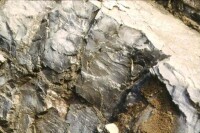 硅質灰岩