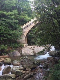 天橋溝森林公園