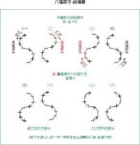 強核力粒子:膠子-內部結構模型圖