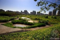 國家城市濕地公園