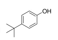 對叔丁基苯酚