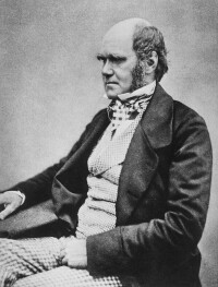 1854年，查爾斯·達爾文（Charles Darwin）著手編寫《物種起源》一書。