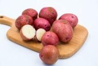 紅皮土豆