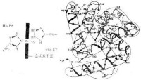 分子機器