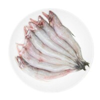 絲丁魚單體