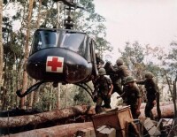 越南戰爭中美軍的損失