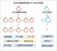 近交系動物