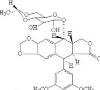 依託泊苷注射液