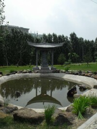 仙洞山公園