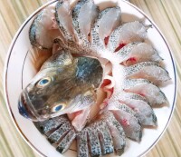 鱸魚