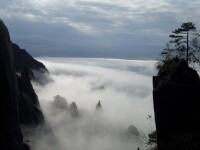 梯雲嶺雲海