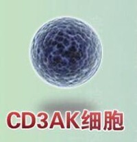 CD3AK細胞